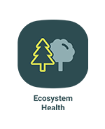 Mindful Materials Ecosystem Health