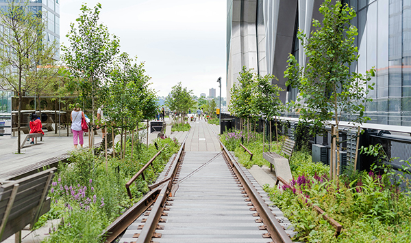 community garden planting