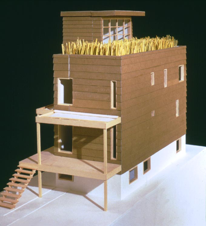 Green Homes for Chicago BuildingGreen