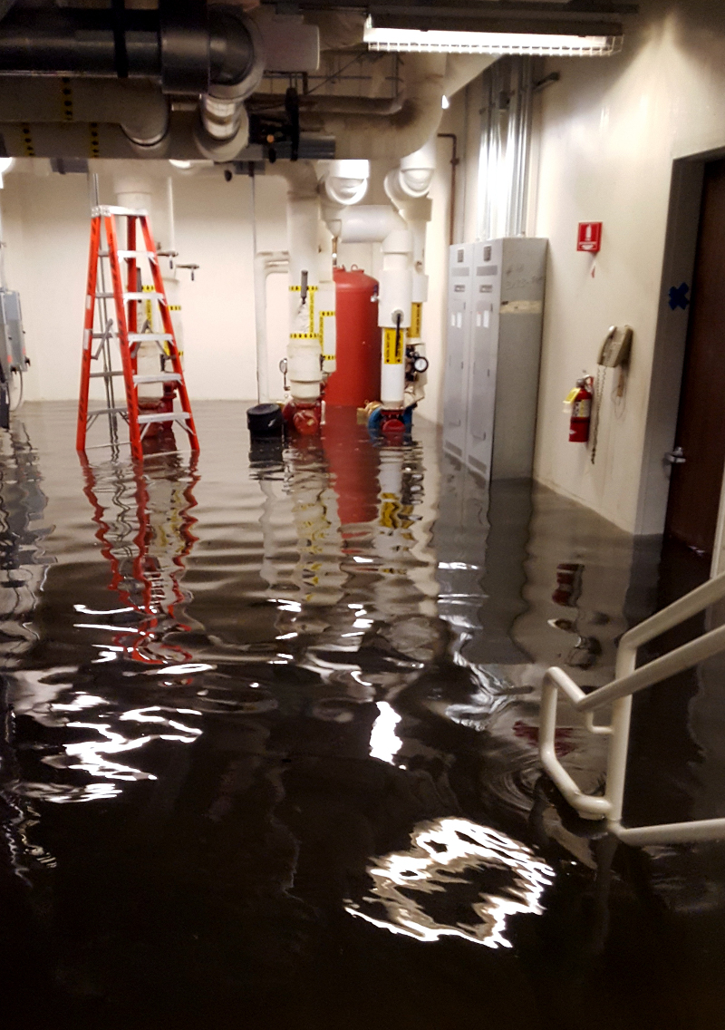 When Hurricane Harvey Hit, the Texas Medical Center Stood Ready |  BuildingGreen