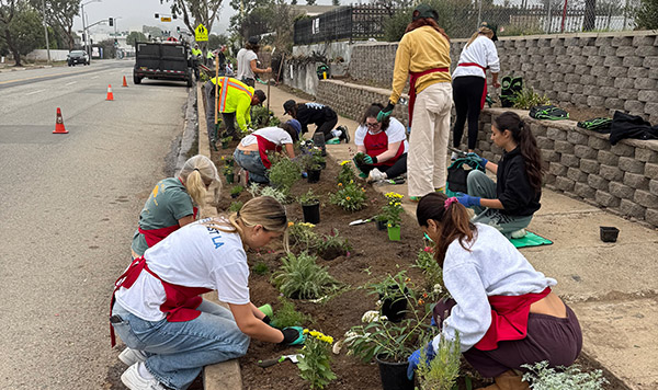 community garden planting