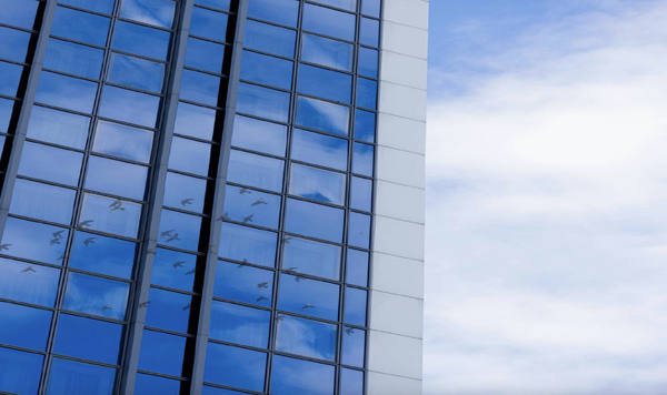 Bird-friendly building glazing