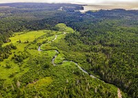 aerial view of a forest, a river, and a tidal estuary showing many colors of green and yellow-green indicating different ecosystems thriving across a single landscape.