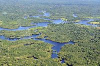 Amazon rainforest aerial