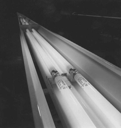 How To Correctly Dispose Fluorescent Light Bulbs And Tubes Ledwatcher