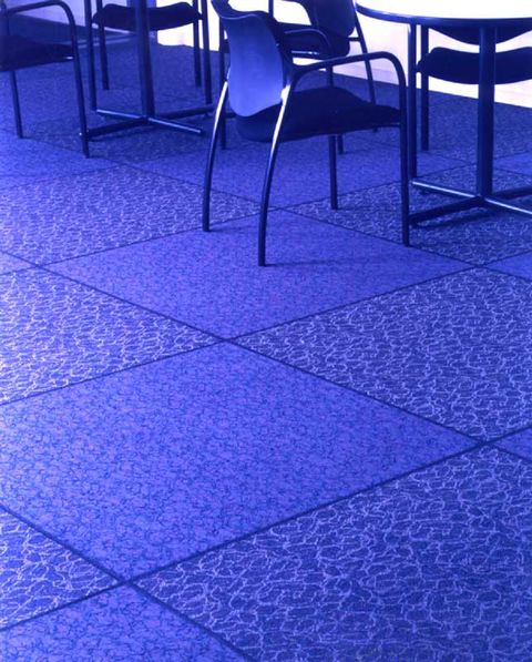 Solenium The First Resilient Textile Flooring Buildinggreen