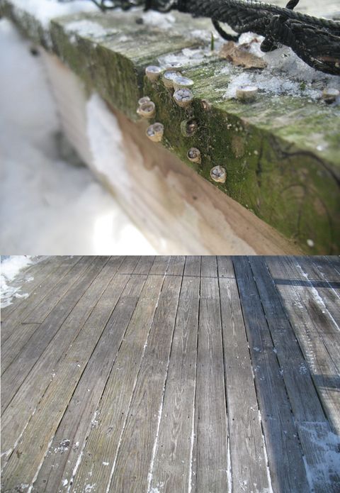 Welcome Kimal Lumber To Gulfeagle Supply Gulfeagle Supply