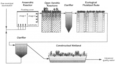 Ecological Wastewater Treatment Buildinggreen - 