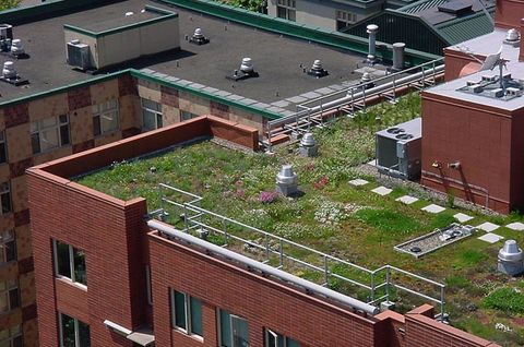 Green Roofs Using Roofs For More Than Keeping Dry Buildinggreen