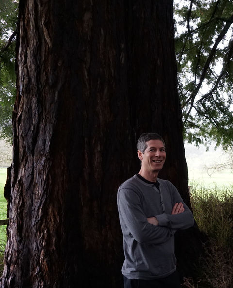 Nadav Malin, Hon. AIA, among the redwoods