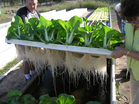 Growing Food Locally Integrating Agriculture Into The Built