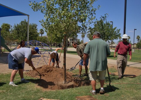 A group of people plant a tree at a playground.