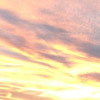 Muriel  Alvarez's picture