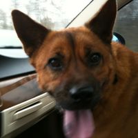 Alicia Wilgus's picture