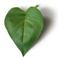 ESD Surbana's picture