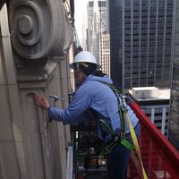 Amanda Roelle's picture