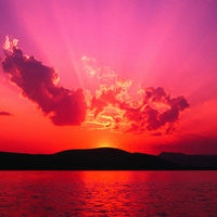 Anita Louey's picture